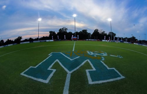 Photo of Field
